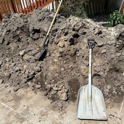 531169331_122108855222963373_5662979004199925477_n