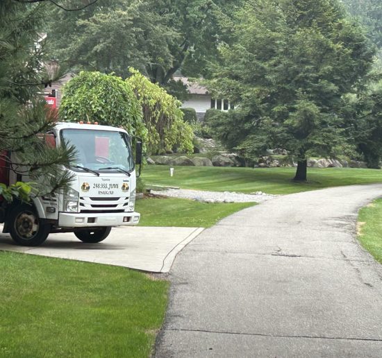 IMG_20250730_083145 (2)