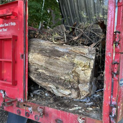 IMG_20250730_083149 (11)