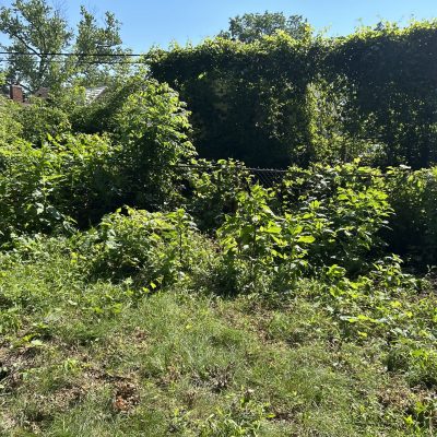 IMG_20250730_083149 (6)