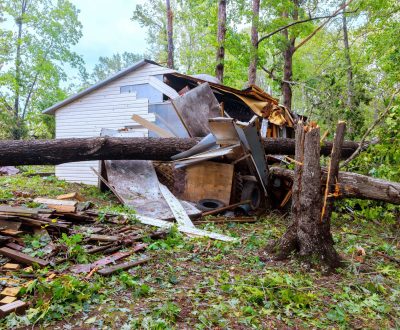 Storm,Hurricane,Uprooted,Trees,That,Fell,On,Shed,Due,To